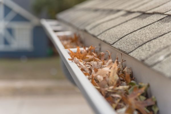 Leaf Barrier Installation in Lakeland